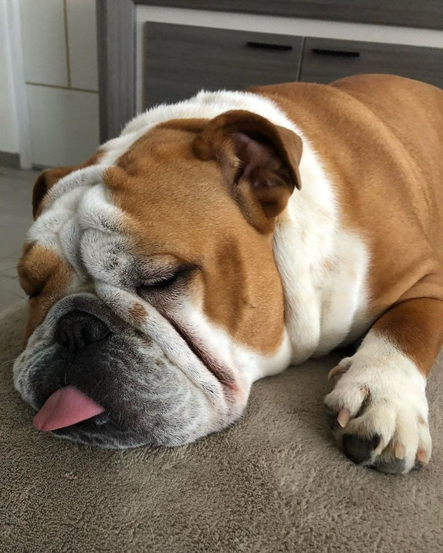 [Image: 046a5b635c70aace3e871dfc1a853fe2.jpg]