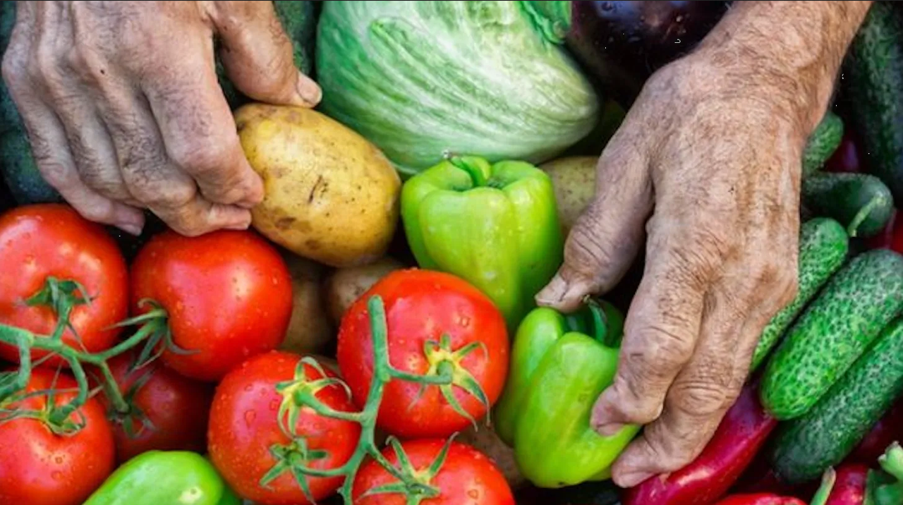 En 2050 el mundo requerirá 60% más de alimentos: Julia Carabias