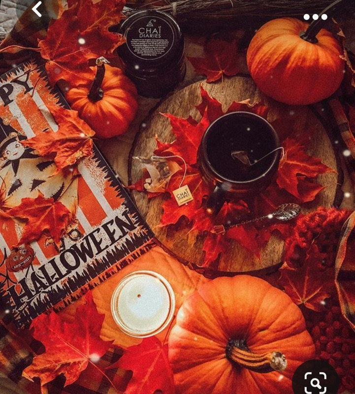 Screenshot_20231008_220640_Pinterest