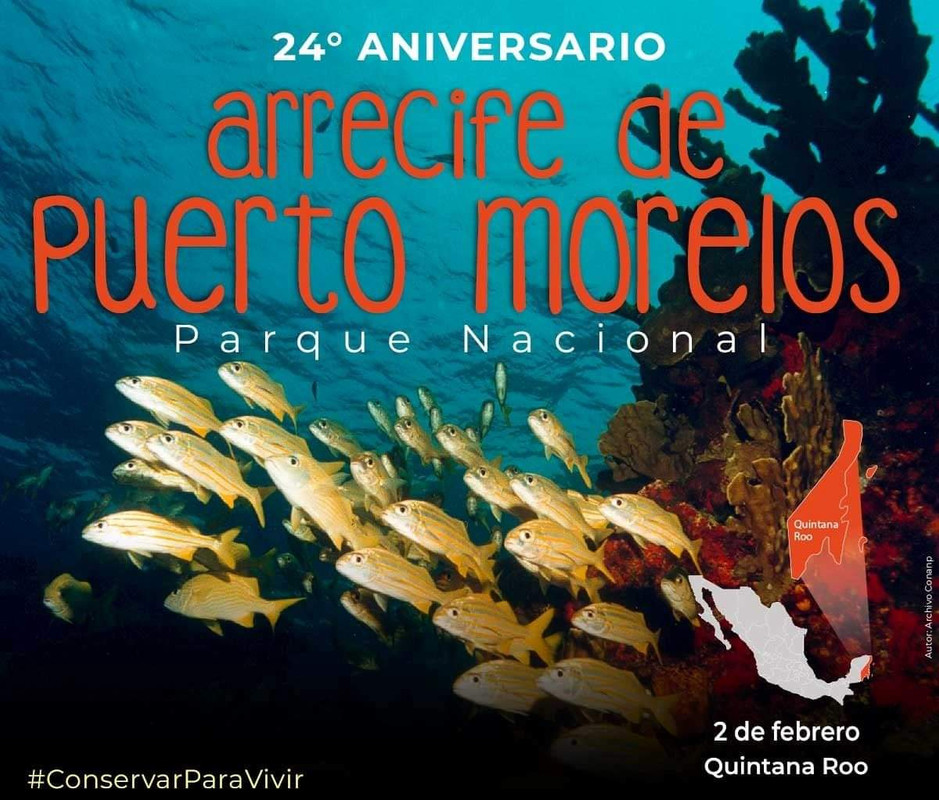 Viajar a Puerto Morelos - Riviera Maya - México - Foro Riviera Maya y Caribe Mexicano