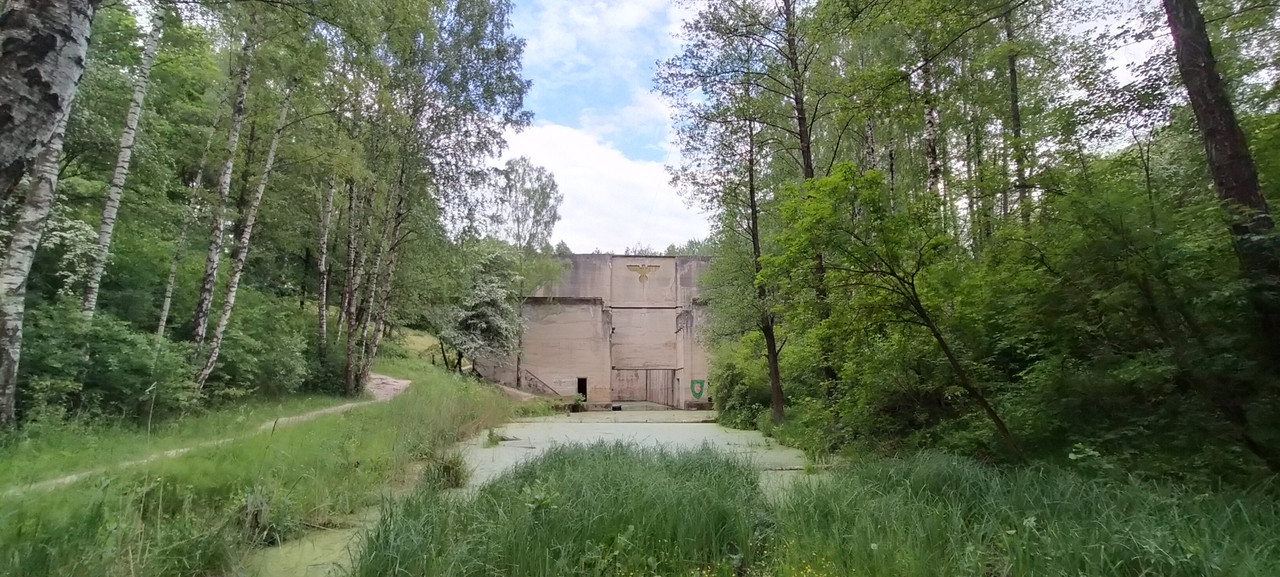 14.06 - IMG20210605170914  (VdL)