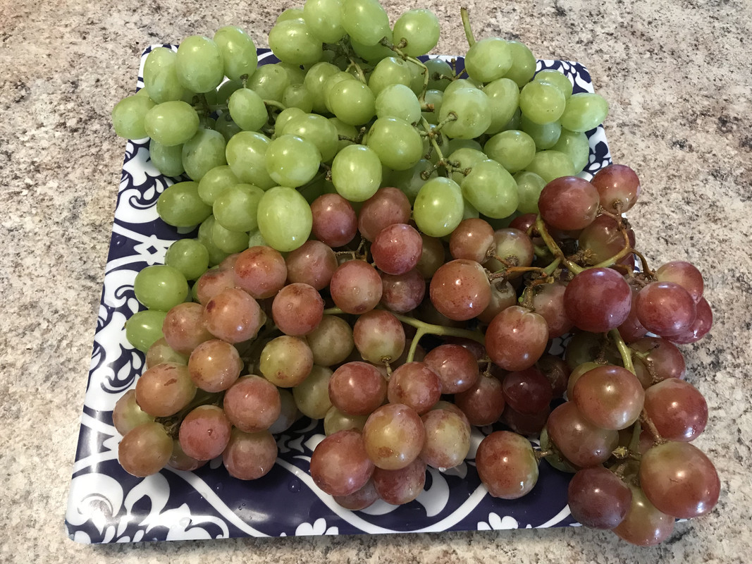 DB8F1A74-6556-4506-8799-4BD75DED9BE3