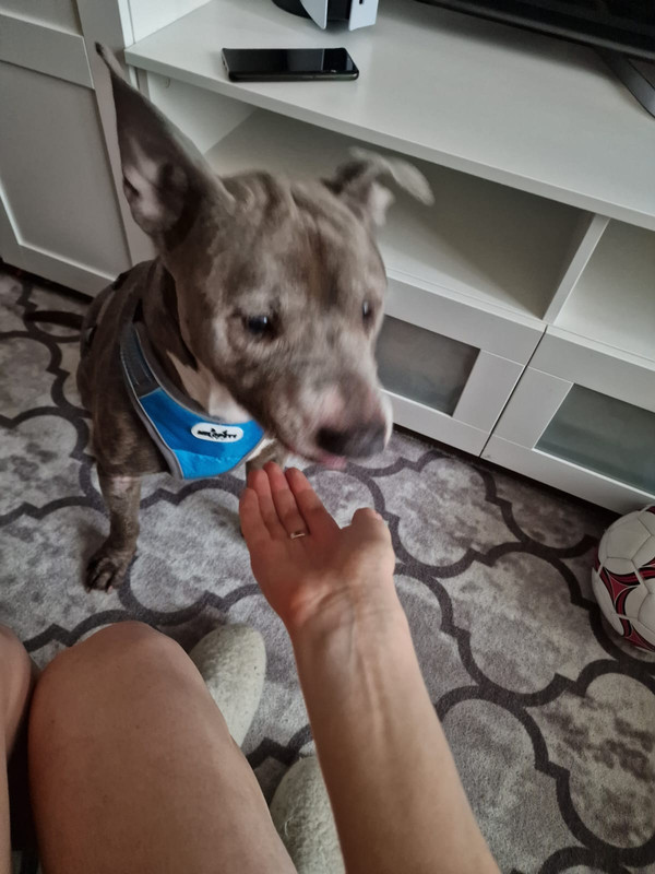 06A62EA0-C362-4830-A20A-BA2655C12A5E