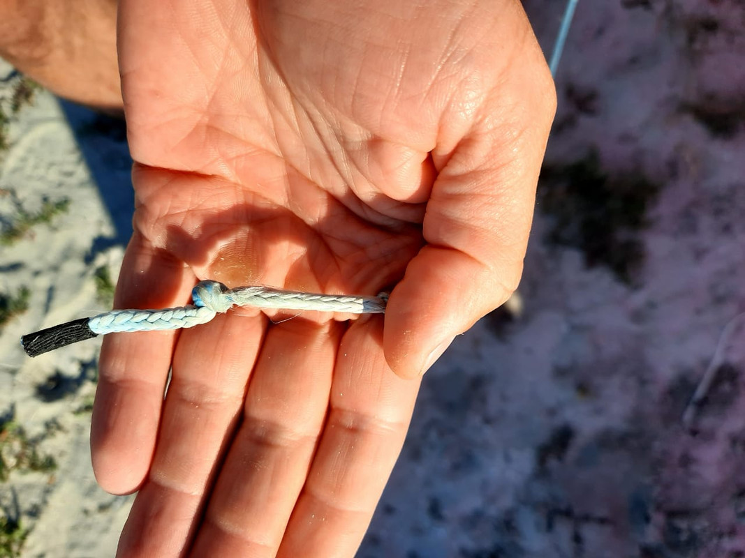 124A9B7A-EFD0-4FA0-A385-9B2D8A1B4F3F