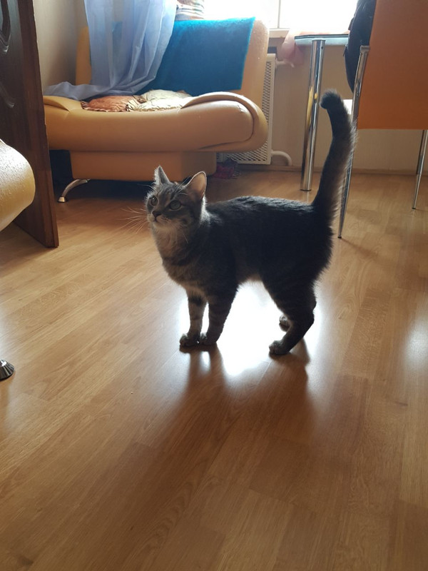 A6EF9642-E280-4452-B80B-84AE5180A303