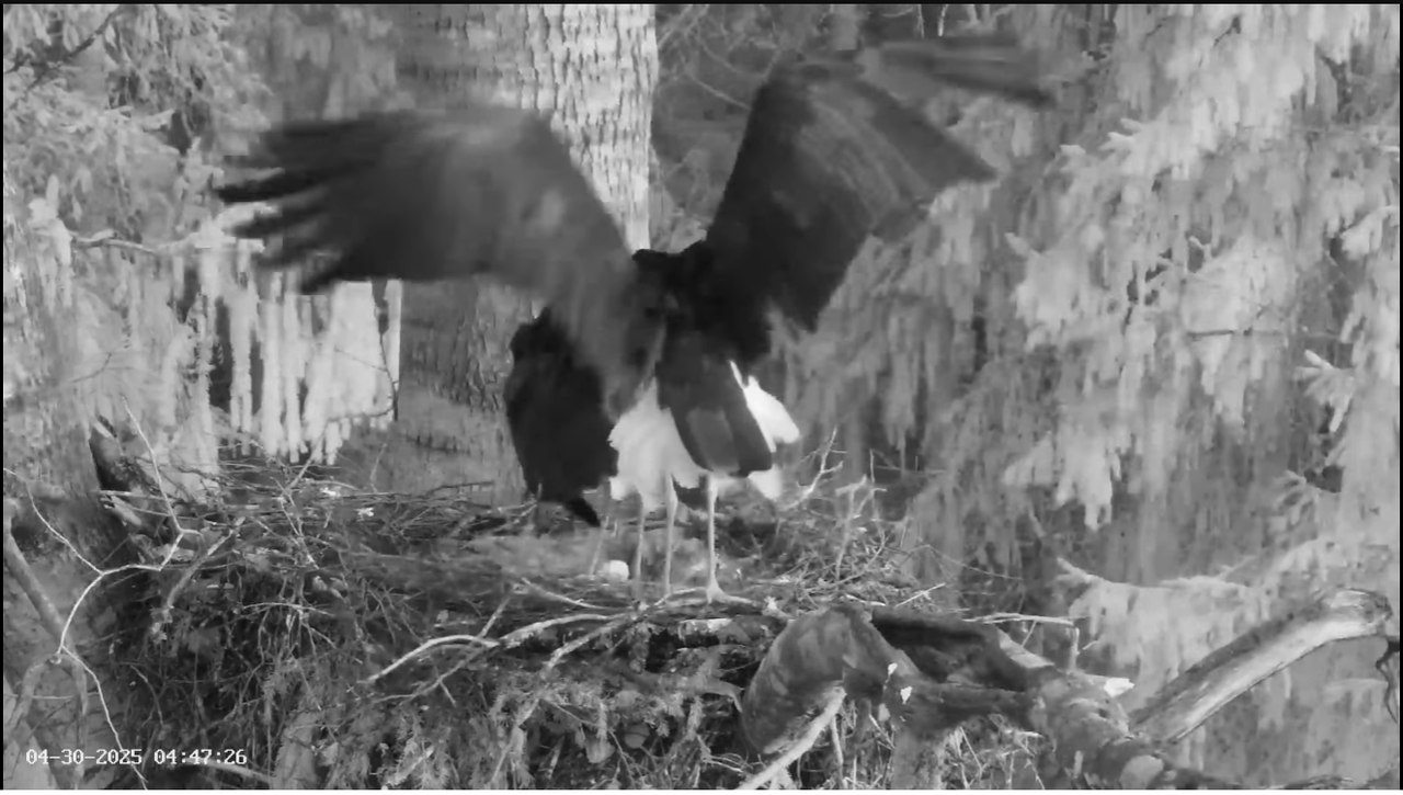 Ekrānuzņēmums 2025-04-30 120813