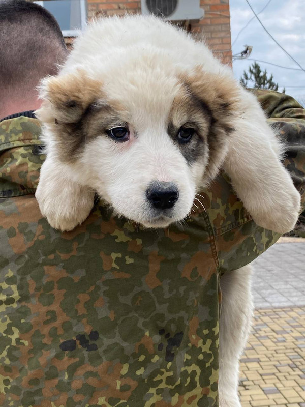 6D6B185A-1461-421D-8FD7-0A71B3353EE3