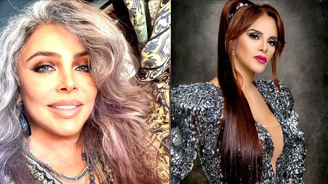 Lucía Méndez critica y minimiza la carrera de Verónica Castro en