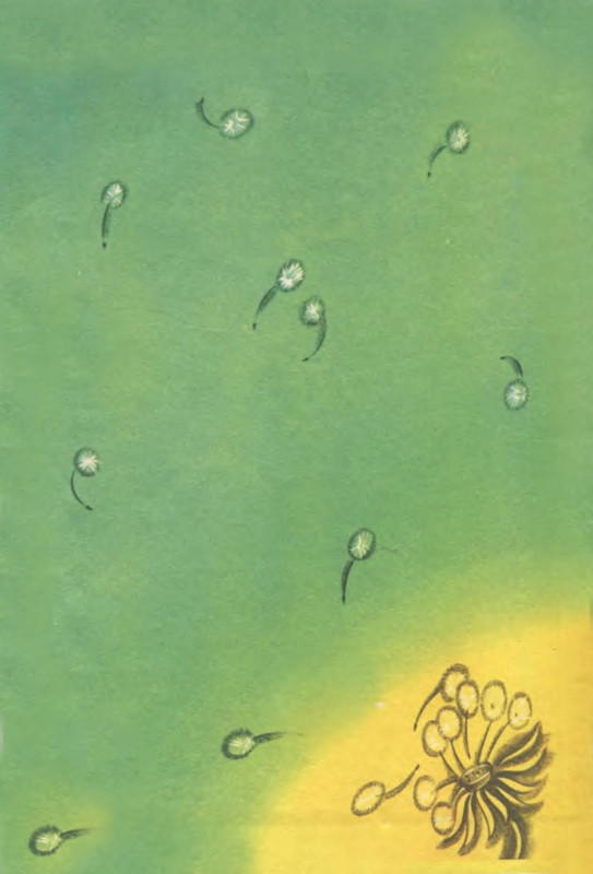 p0004