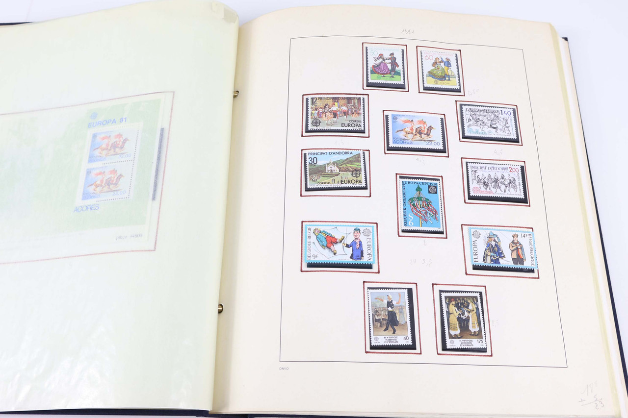 IMG 8212