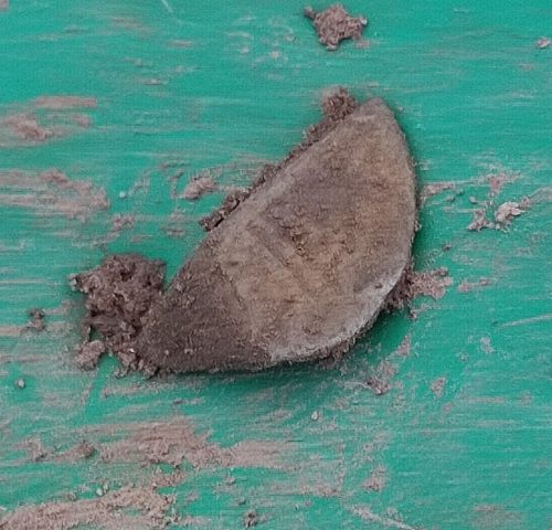 IMG 20251208 150431