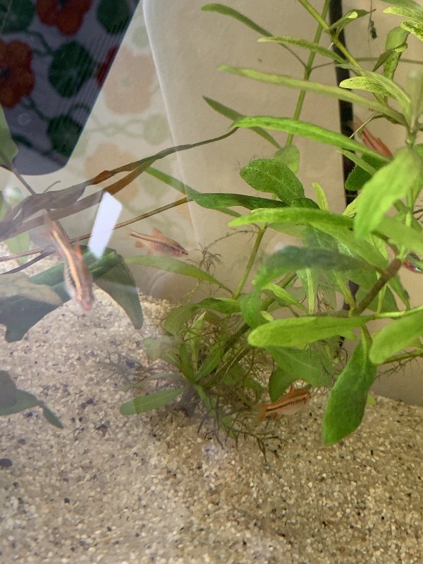 C24E0BDB-0AF0-4BDB-B8C6-CD4ACBF97251