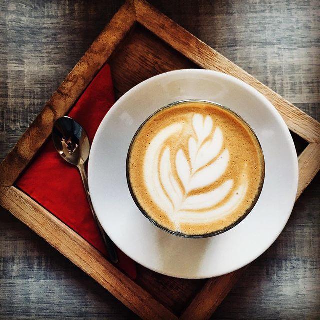 Královna káva / Café, le nouvel or noir? / SK