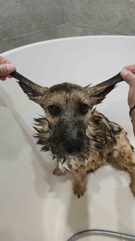 IMG-eefa91a9061845d2e4a3fa278e847f8b-V