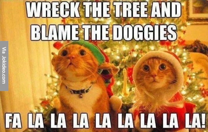 cats-blame-dogs-tree-meme.jpg