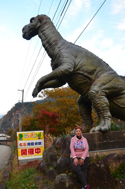 Presa Oguchi Daiichi y Templo Fukase-15-11-2024 - Japón y sus Pueblos-2024 (30)