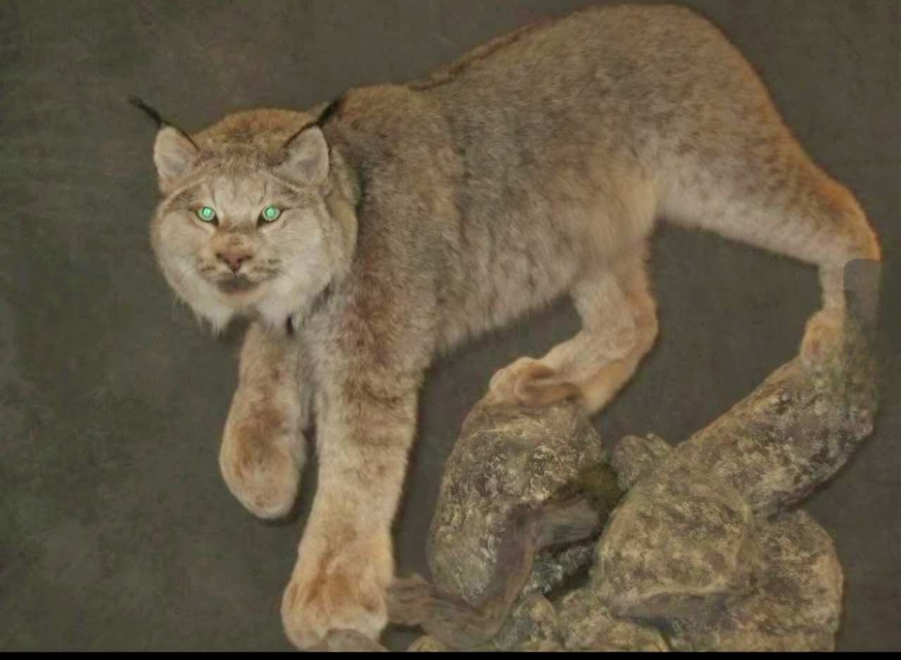 Screenshot 20260218 045043 Photos