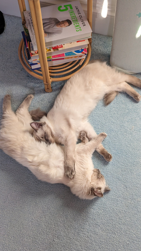 PXL_20240119_122142877