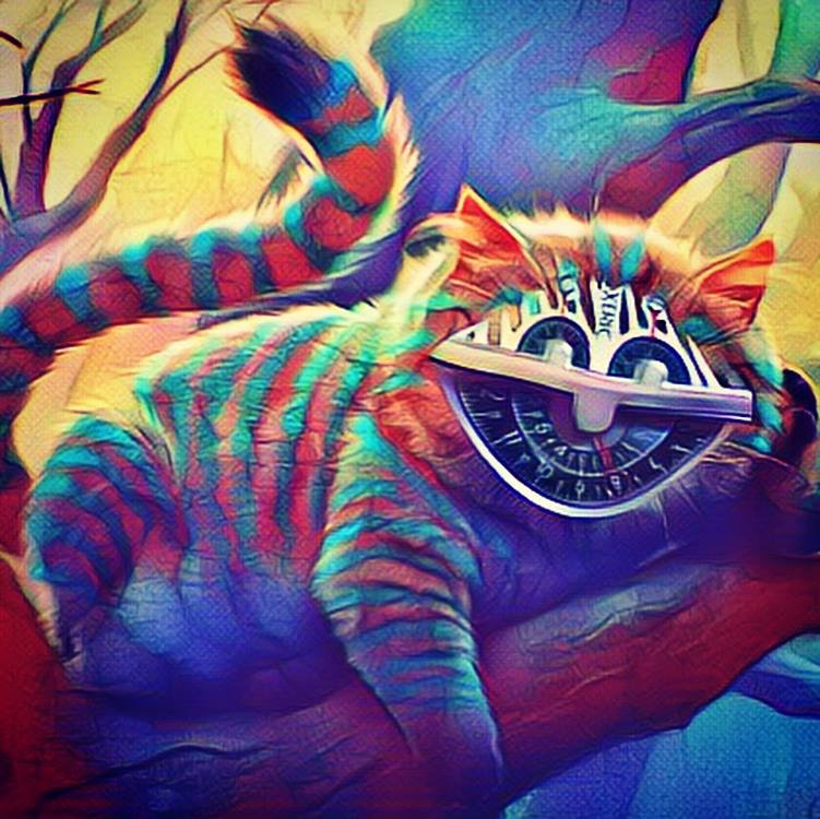 4EB9FBCC-27B9-4A15-ADF1-25289F3AA6D5