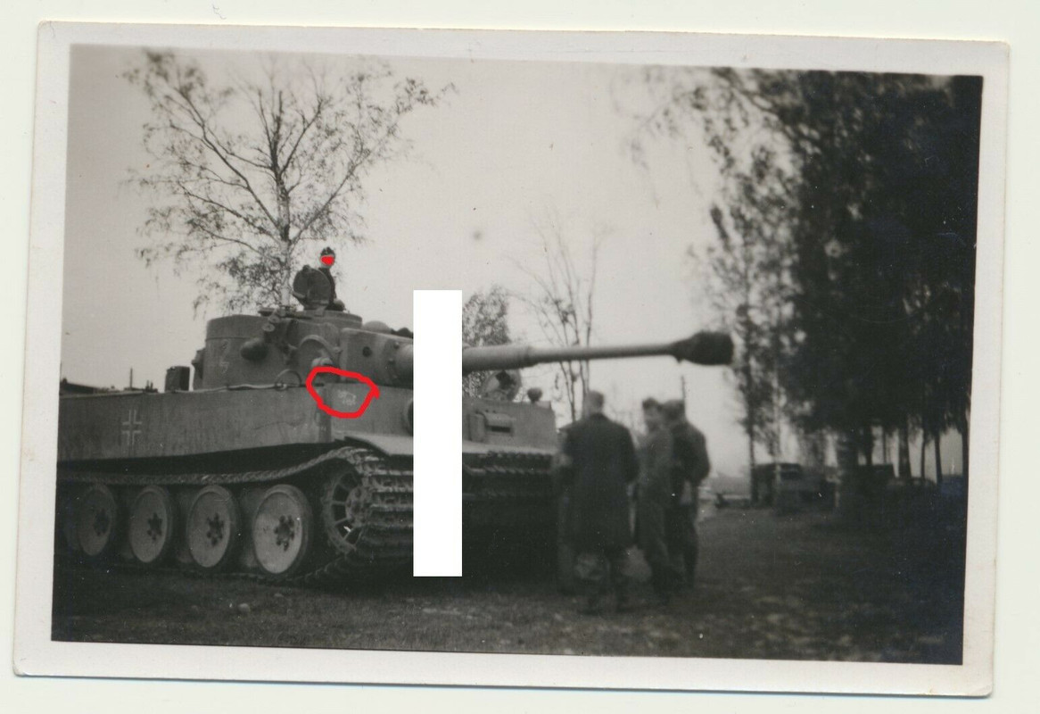 Russland deutscher Tiger Panzer Schw Pz Apt. 502 Wappen Elefant