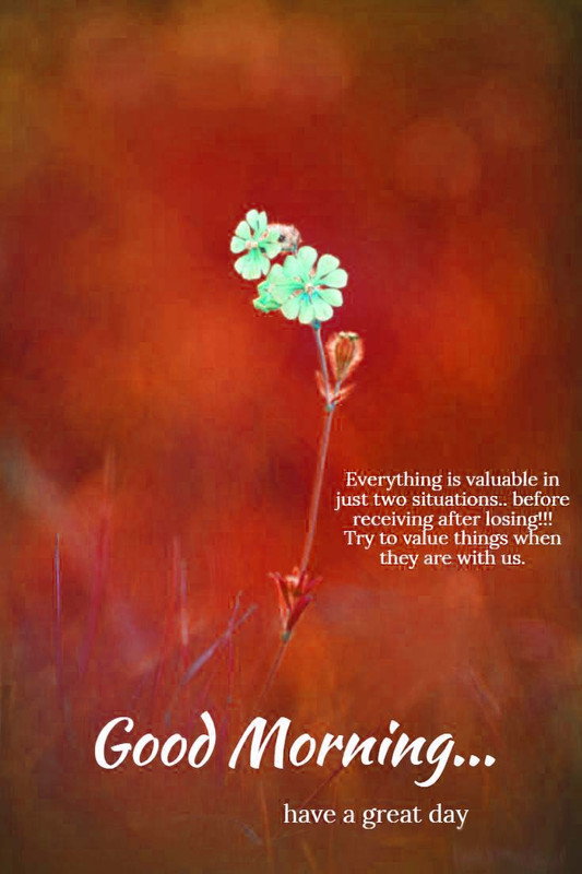 Have a Beautiful Day Good Day pictures, Good Day images, Good Day graphics, Good Day scraps, comments, Pics, Fotos, Photos, Facebook, Whatsapp, Instagram, Myspace, Hi5, Friendster and more day graphics