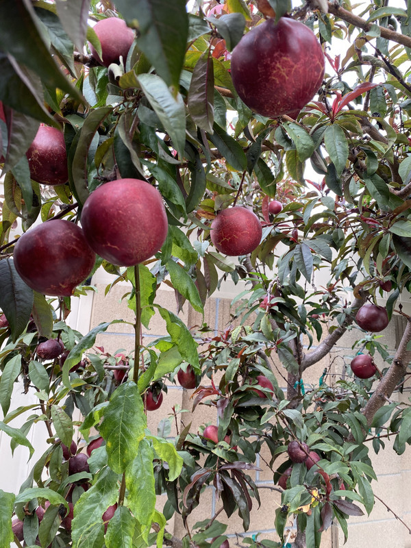 352FAECB-F539-4AC5-8337-1A2BE136458D