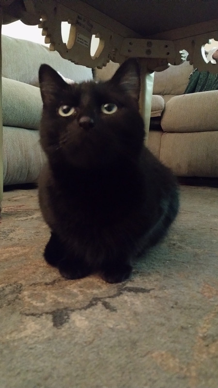 IMG_20240612_150147020