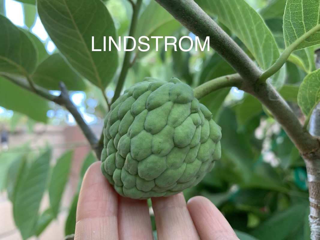 563CE2EF-EBC9-4A19-B8C8-027AB49104BF