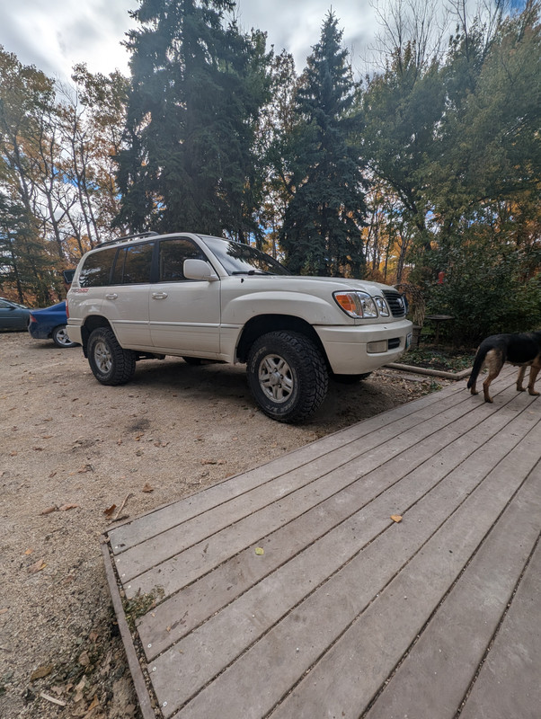 PXL_20241014_193155388
