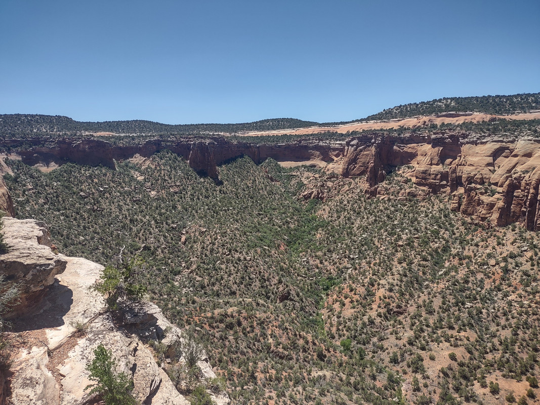 IMG_20250620_131143353_HDR