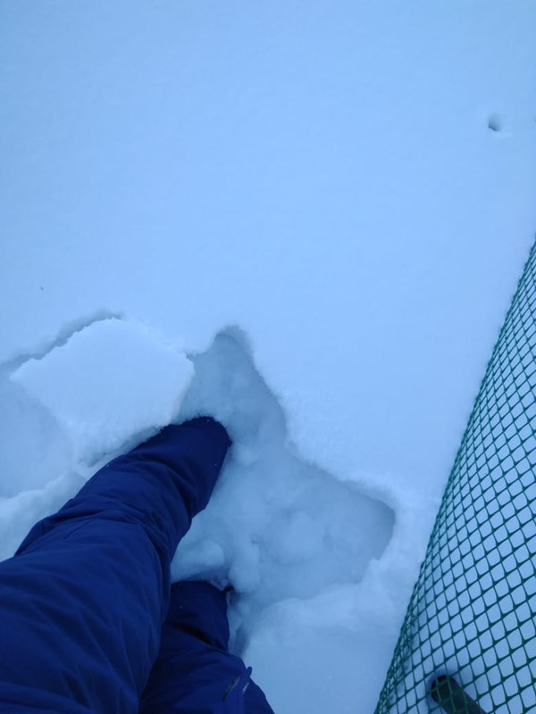 ECD7E50D-91F3-4505-8C17-79480AC48F08