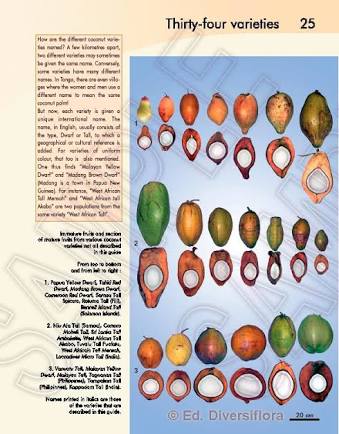 ED45EF56-BF98-441B-9EEE-FBCB47ACE8BB