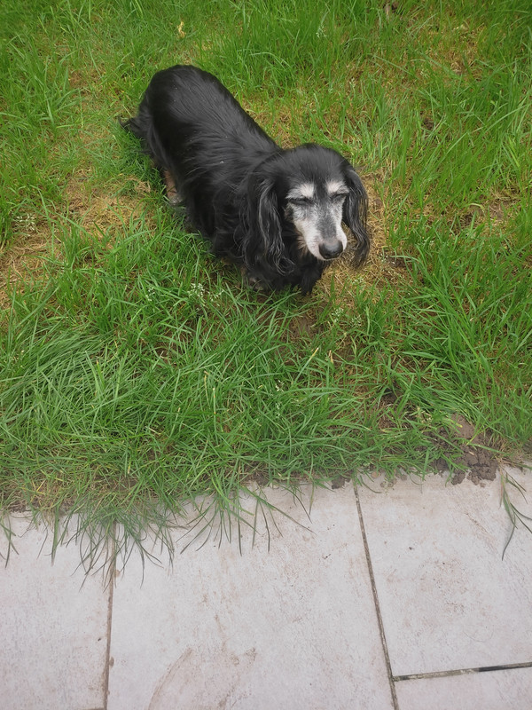 [Image: IMG-20241115-121849.jpg]