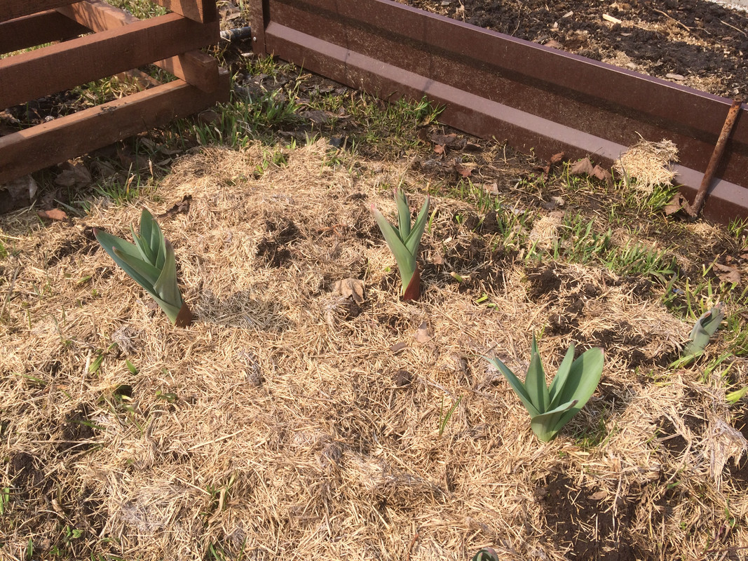 1BB80B60-6368-4693-886A-C2ECB8455996