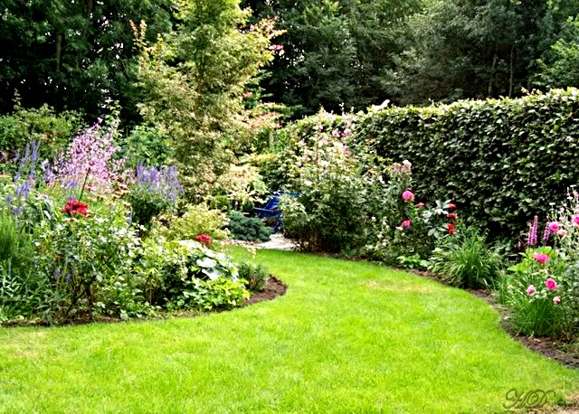 Garden-HD.jpg