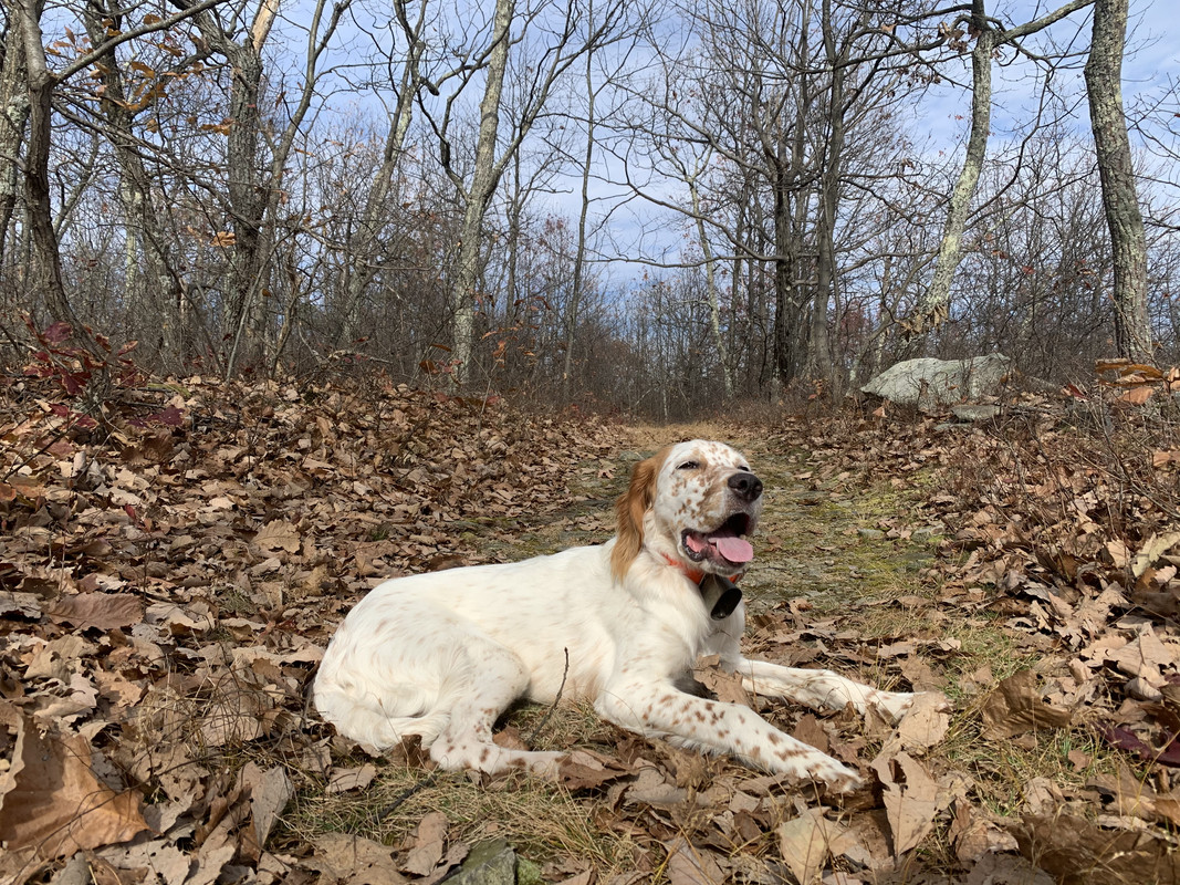 137B49D6-596A-4B19-B4E6-F0581261E465