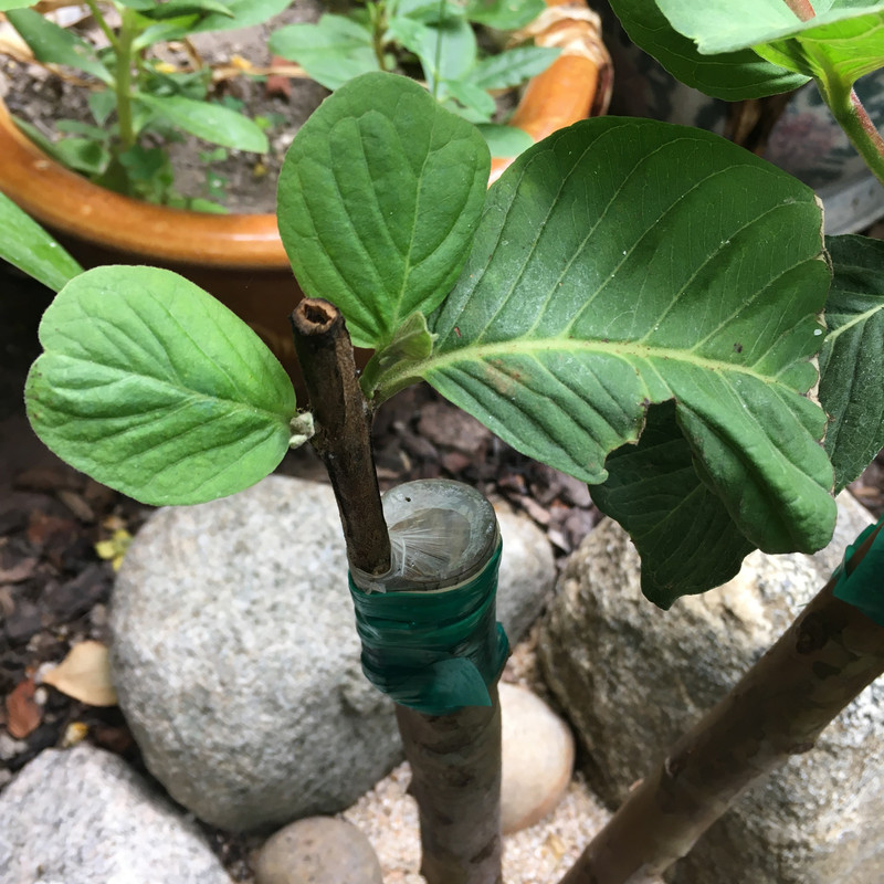 61B58992-2691-41BB-8F4C-9BBEBD150557