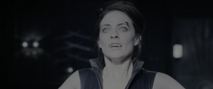 Underworld: Blood Wars 2016 BluRay [Hindi + Tamil + Telugu + English] 480p, 720p, 1080p ESub Screenshot