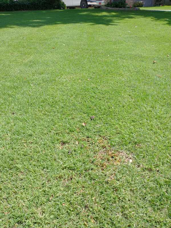 IMG_20210613_110533699