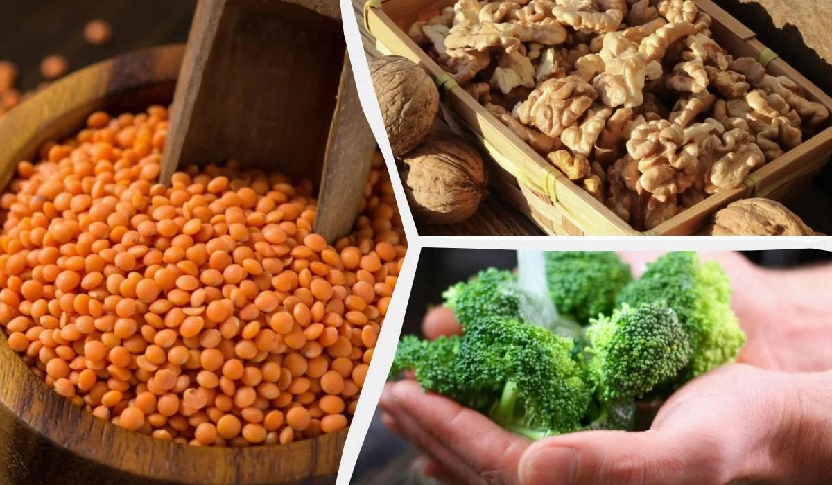 Какие продукты содержат много белка и клетчатки: диетолог назвала 6 лучших