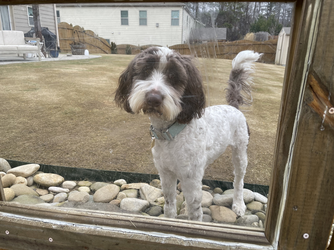 CD22B339-E20F-409F-97E9-AC337BDCBF79