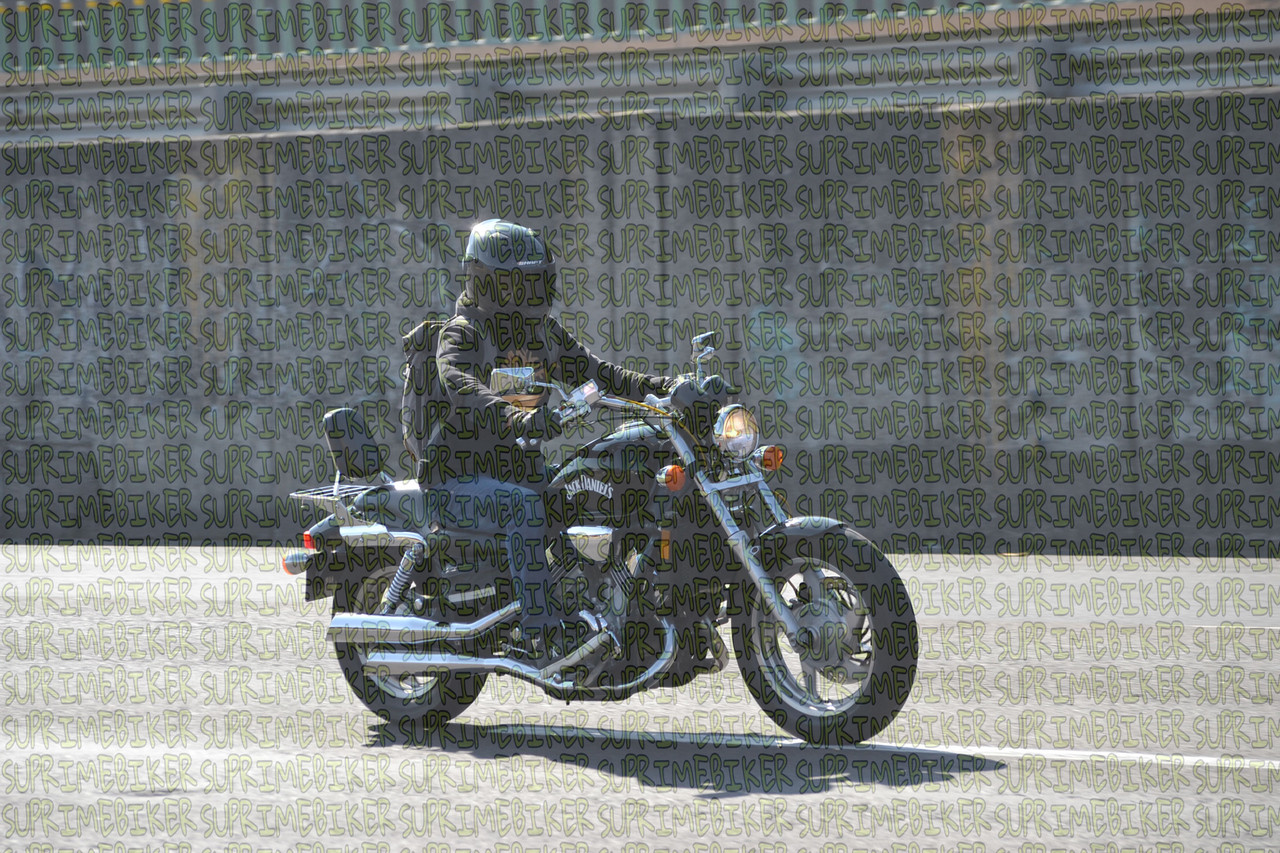 DSC 0865