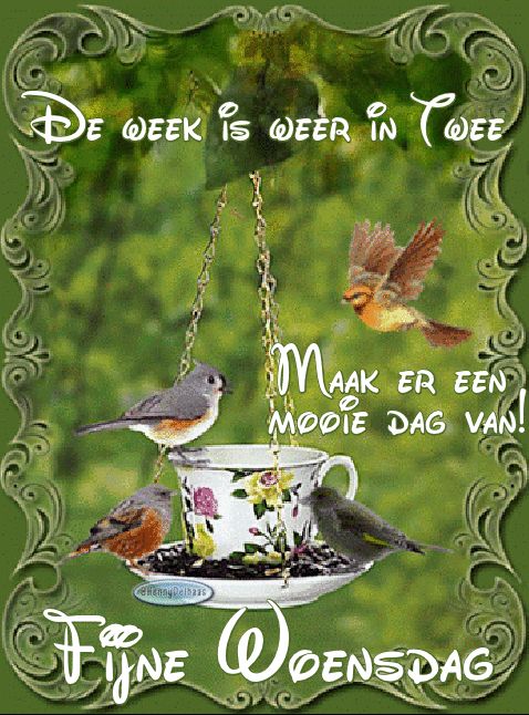 6db99fb5cf7202508924d42b7faaecb9