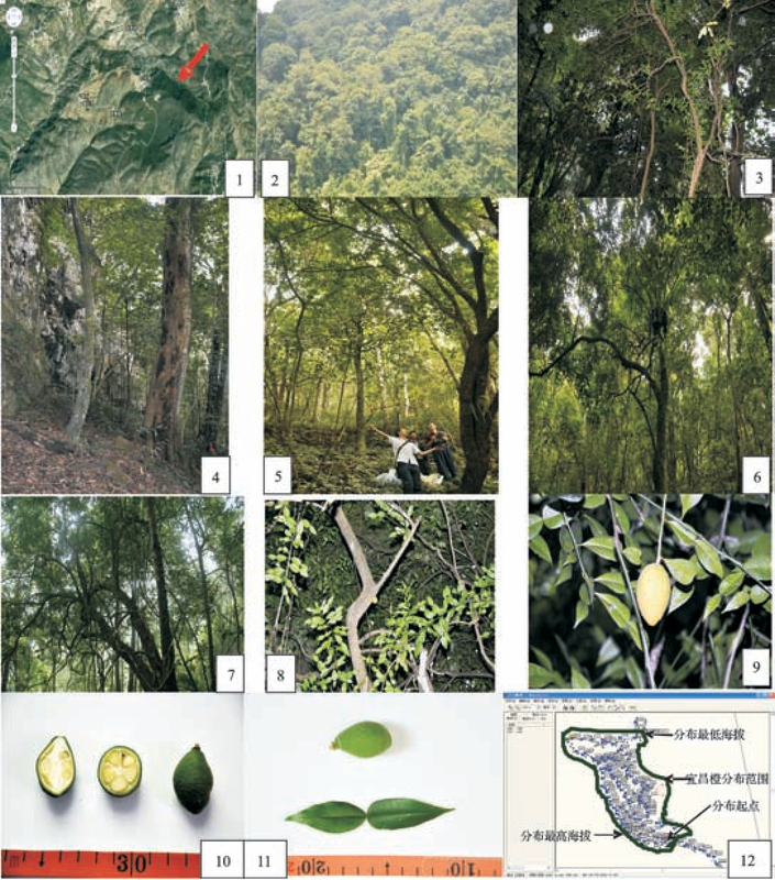 3-Figure1-1