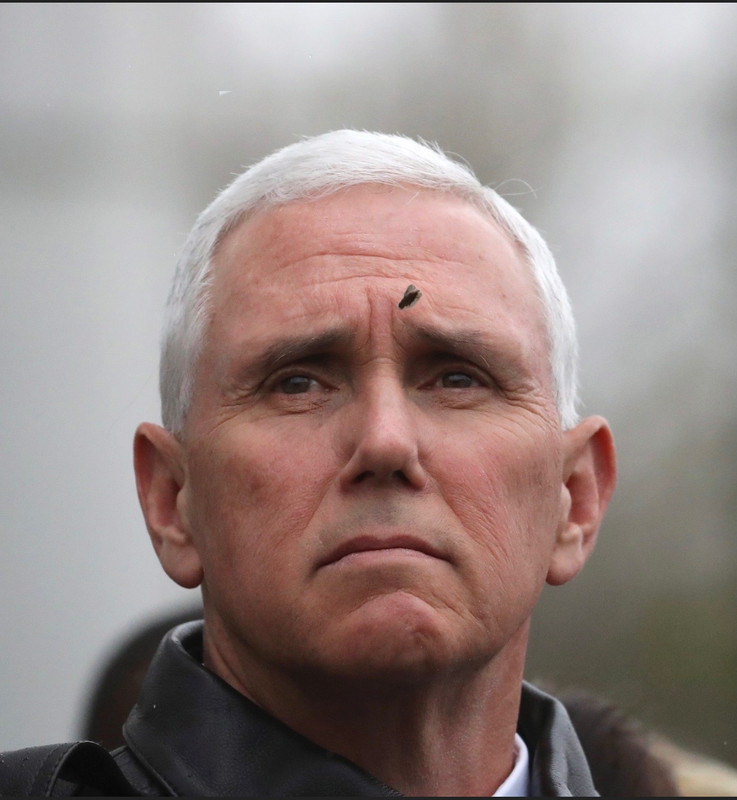 37562B82-B456-49DE-B39D-FB1AD5F4ABC7