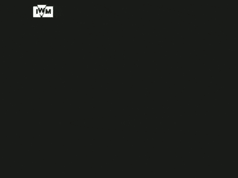 https://i.postimg.cc/SNC85qdQ/video-2026-09-02-02-26-29-(1)-(1).gif