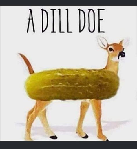 [Image: dill-doe.jpg]