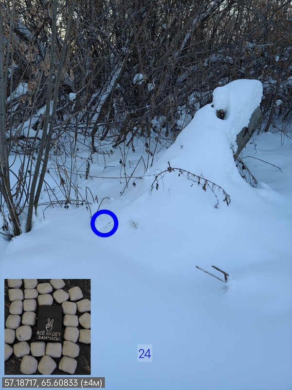photo 2026 01 27 16 22 31