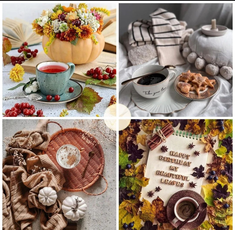 Screenshot_20231204_001921_Instagram