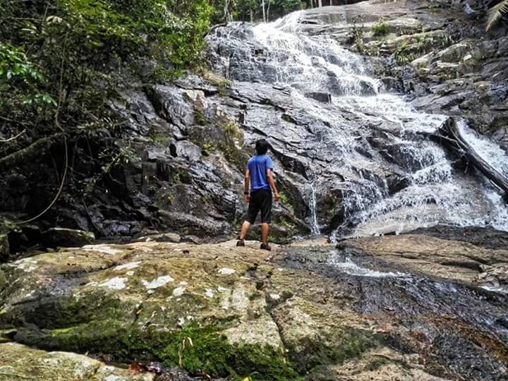 Segari, Hutan Bukit Pantai Yang Terakhir Di Malaysia